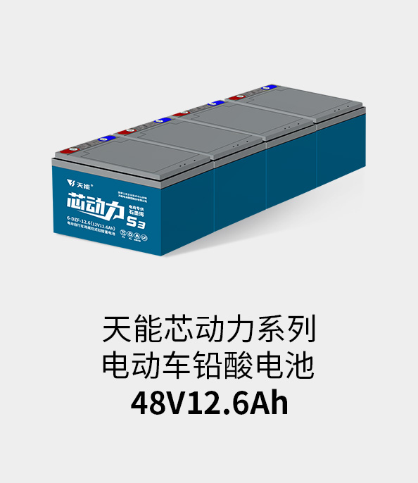 利来国际最老牌电池48v12ah