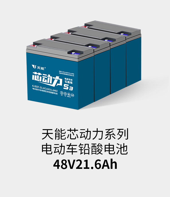 利来国际最老牌电池48v20ah