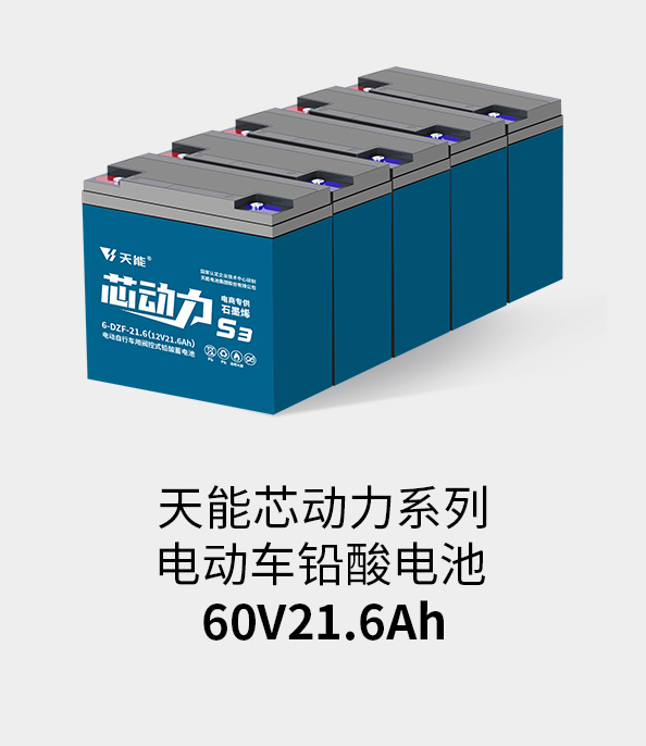 利来国际最老牌电池60v20ah