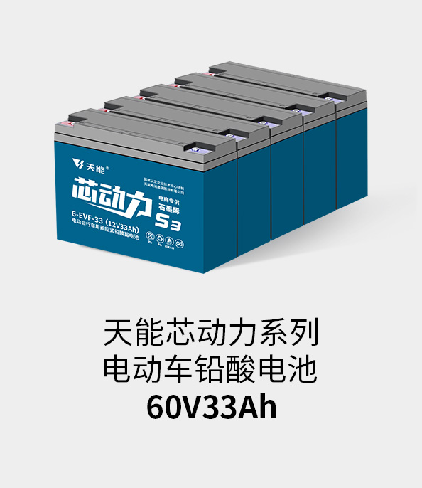 利来国际最老牌电池60v33ah