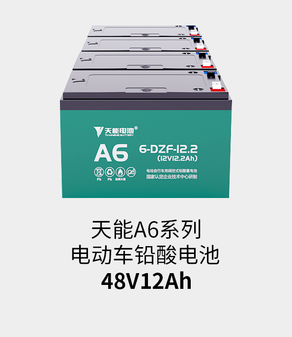 利来国际最老牌电池48v12ah