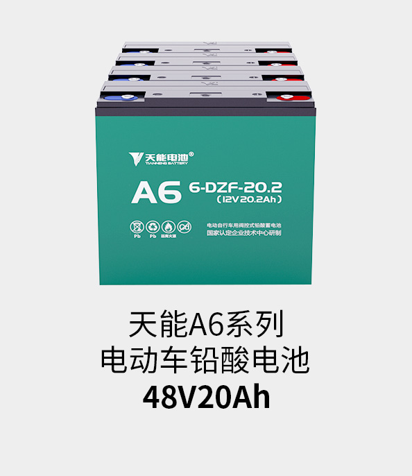 利来国际最老牌电池48v20ah