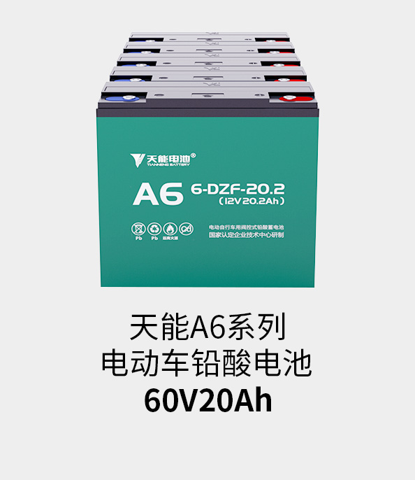 利来国际最老牌电池60v20ah