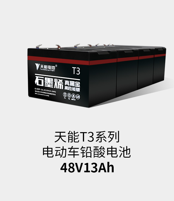 利来国际最老牌T3系列48v13ah