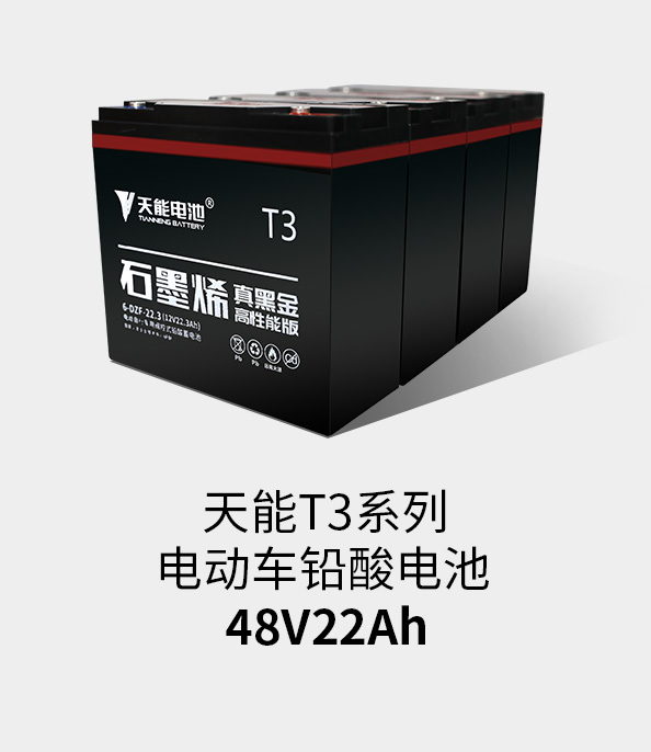 利来国际最老牌T3系列48v22ah