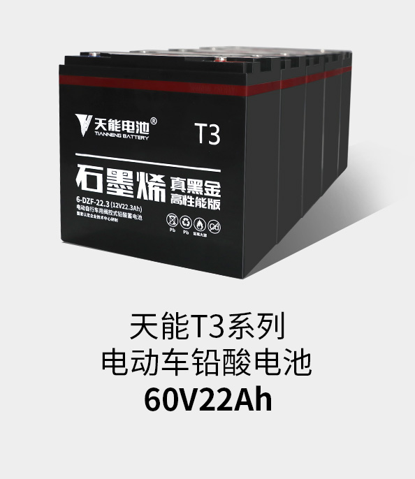 利来国际最老牌T3系列60v22ah