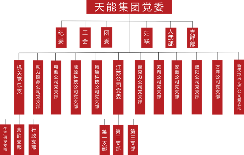 利来国际最老牌建团党委组织架构